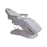 Ant Salon Equipment Electric Facial Bed/lash Chair/massage Bed