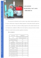 Reciprocating mud pump 3NB-250/6-15 slurry pump