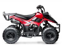 Goldenwing New Rex ATV, 110cc Air Cooled, 4-Stroke, 1-Cylinder, Automatic