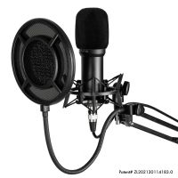 Yanmai Professional Condenser For Wired Recording Computer Live Streaming Microphone