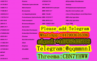 https://jp.tradekey.com/product_view/Cas-14188-81-9-Isotonitazene-10287471.html