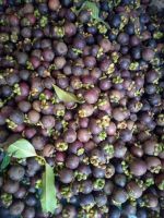 Mangosteen Fruit, Fresh Fruit Tropical Fruits