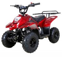 Taotao Boulder B1 Atv 110cc Air Cooled, 4-stroke 1-cylinder Automatic