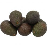 Organic Peruvian Tropical Hass Avocado Fresh Fruit Originating from Peru with a Common Cultivation Model Variety Fresh Avocados