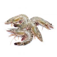 Fresh Tiger Prawns / Wild Shrimps / Sea Food| Premium Seafood Prawns Frozen Vannamei Shrimp Good Quality 