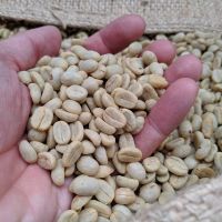 Organic 100% Robusta Green Arabicabeans, Grade AA+A, 1 Kg. ( USDA/EU Approval)