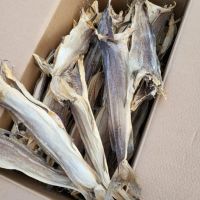 Dried Norwegian Stock Fish & Cod Heads/cod, Dried Cod Fish, Dried Stockfish, Dried Maw Fish 