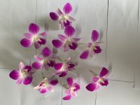 https://www.tradekey.com/product_view/Dendrobium-Anina-Orchid-Loose-Bloom-pink-Color--10263691.html