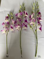Dendrobium Anina Orchid Stem (pink Color)