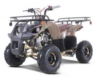 Taotao New Ata 125d Atv 107cc Air Cooled 4-stroke 1-cylinder Automatic