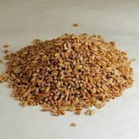 Hard Red Winter Wheat   NON-GMO. USA Origin.