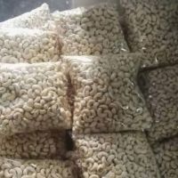 Cashew Nuts High Quality - Best Prices