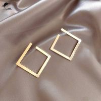 Exaggerated Cold Wind Fashion Earrings for Women