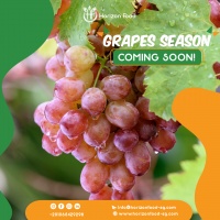 Grapes 