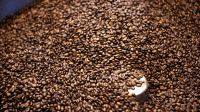 Roasted Arabica Coffee beans â Best quality â Origin from Spain