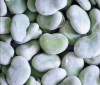 IQF Fresh Frozen Fava Peeled Broad Bean