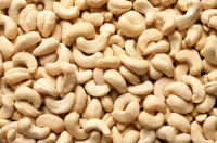 Raw Cashew Nuts W320 W240 With High Quality