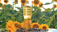 Wholesales Sunflower oil 100% Pure nature refined sunflower Vegetable Oil For Sale