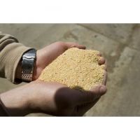 Poultry feed Soybean Meal / Corn meal for Animal feed/ Soybean meal at factory price