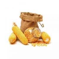 Animal Feed Yellow Corn/ animal feed maize grains/ Yellow corn Non GMO for export