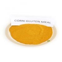 Corn Gluten Meal Powder for sale available