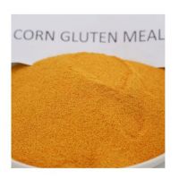 Factory Suppliers 60% protein yellow wheat for anima chicken feed corn gluten meal bulk quality animal feed