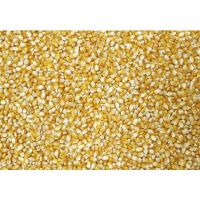 Yellow Maize Animal Feed - Buy Yellow Corn Animal Feed Bulk dried Yellow corn for Animal feed