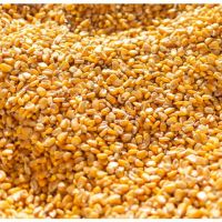 New Crop Yellow Corn Maize for human and animal feed grade consumption Yellow Corn For Poultry Feed / Non GMO Corn for sale
