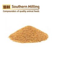 Bulk Sale Soybean Meal for Animal Feed