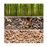 Top GRADE Europe Wood Pellets 15