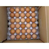 Factory Discount Sale Delicious Farm Fresh Chicken Table Eggs White and Brown For Sale In Stock