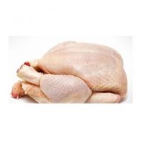 HALAL Cheap Frozen Whole Chicken From Thailand Whole Chicken, Legs and Wings