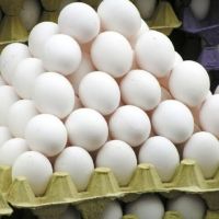 Buy Brown/White Chicken Table Eggs With Delicious Taste, Bulk Farm Fresh Chicken Table Eggs Quality Cheap In Stock Fair Price
