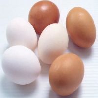 Brown And White Shell Chicken Eggs / Fresh Chicken Table Eggs Best Quality Fresh Chicken Table Eggs Top