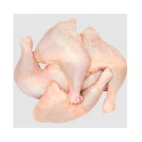 Export Chicken Meat | Chicken Meat Suppliers