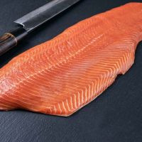 Norwegian Salmon Fish, Premium Grade Salmon Fillets, Salmon heads For Export at Factory price