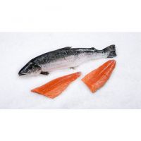 Bulk Stock Available Of Frozen Whole Salmon Fish (Seafood) At Wholesale Prices