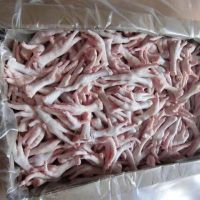 New Arrival Premium Halal Frozen Whole Chicken, Chicken Feet, Paws Frozen Chicken Paws Chicken Feet