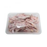 Wholesale Supplier of Natural Quality Halal Frozen Chicken Feet | Frozen Chicken Bulk Quantity Ready For Export