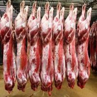 Cheap price Frozen beef meat Halal Frozen Boneless Muscle Beef