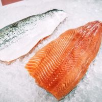 New harvest Norwegian Atlantic Salmon Fillet Whole Round Fresh Fish Pink Salmon Chum Salmon Fillet