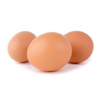 Chicken Broiler Fertile Hatching Eggs Cobb 500 and Ross 308/ Chicken table eggs