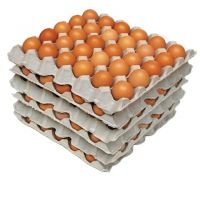 Chicken Broiler Fertile Hatching Eggs Cobb 500 and Ross 308/ white and brown Chicken table eggs  