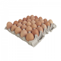 Fertilized Chicken Eggs/ Cobb 500 Broiler Chicken Eggs/Fresh Cobb 700 Fertile eggs