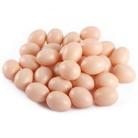 Wholesale Brown and White Chicken Eggs For Sale / Fertile hatching eggs 