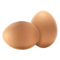 Farm Fresh Chicken Table Eggs Brown and White Fresh Brown White Table Eggs / Fresh Chicken Egg