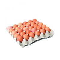 Wholesale Brown and White Chicken Eggs For Sale