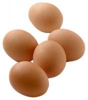 Fertilized Chicken Eggs/ Cobb 500 Broiler Chicken Eggs/Fresh Cobb 700 Fertile eggs, Fresh table eggs for sale