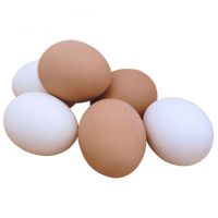 Quality fertilized Fresh Brown/White Table Chicken Eggs / White and brown table eggs for sale 