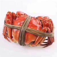 Frozen crab blue swimming crab 